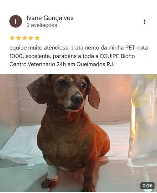 Avaliação 5 estrelas no Google