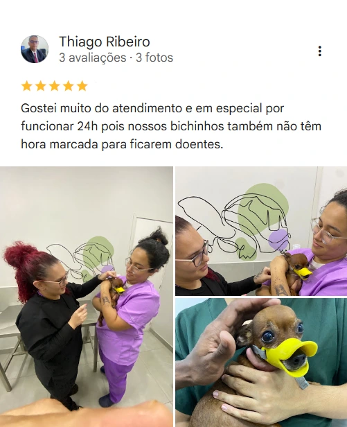 Avaliação 5 estrelas no Google
