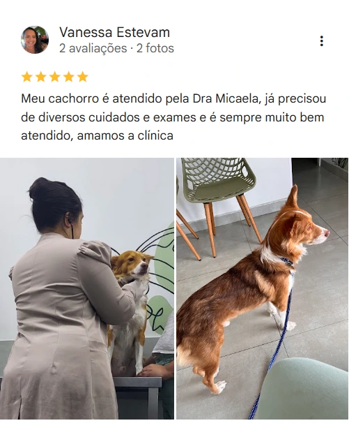 Avaliação 5 estrelas no Google