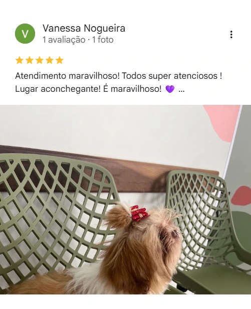 Avaliação 5 estrelas no Google
