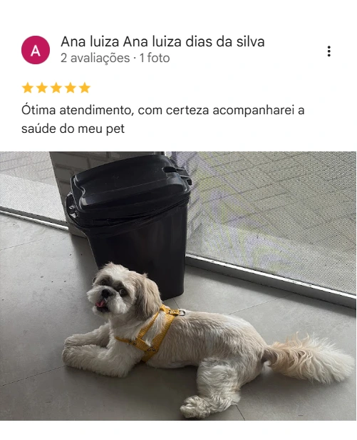 Avaliação 5 estrelas no Google